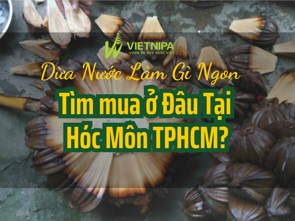 Dừa Nước Làm Gì Ngon? Tìm Mua Ở Đâu Tại Huyện Hóc Môn Tp HCM?