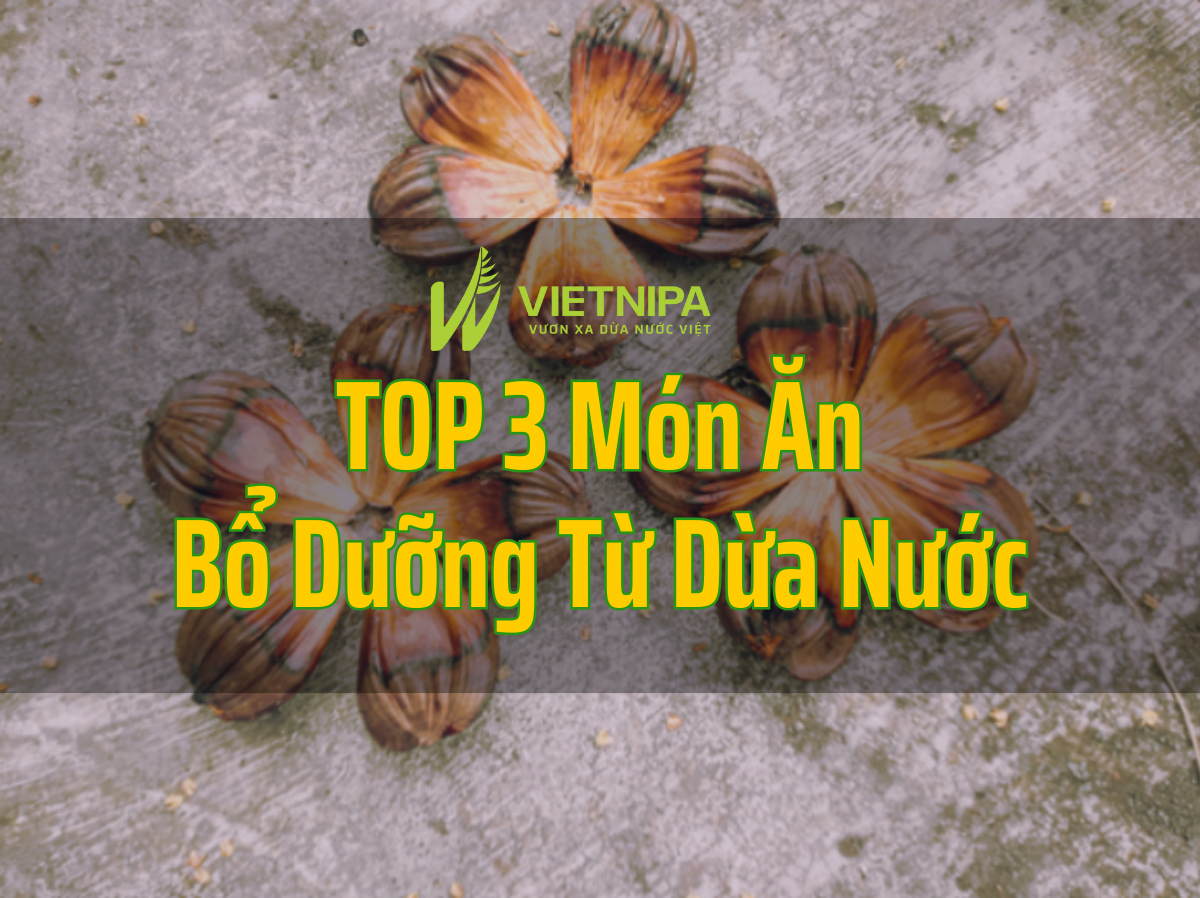 Top 3 Món Ăn Bổ Dưỡng Từ Dừa Nước Cần Giờ