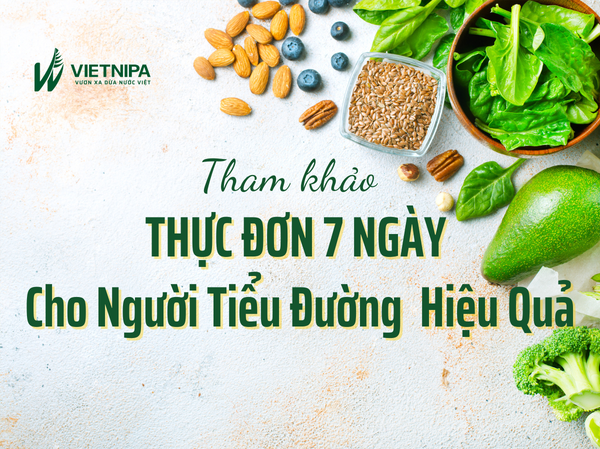 Tham Khảo Thực Đơn 7 Ngày Cho Người Tiểu Đường Hiệu Quả