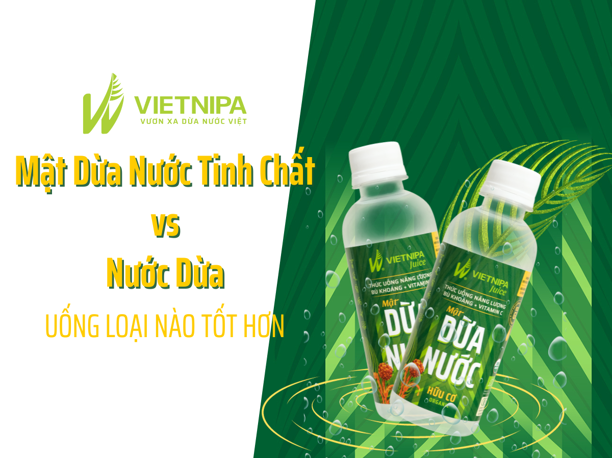 Tinh Chất Mật Dừa Nước Với Nước Dừa? Uống Loại Nào Tốt Hơn