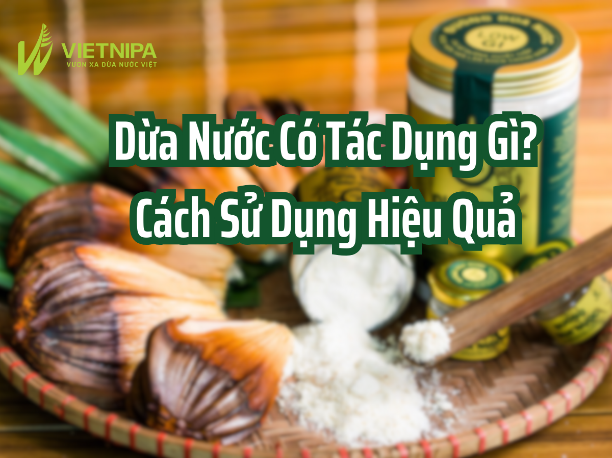 Dừa Nước Có Tác Dụng Gì? Cách Sử Dụng Hiệu Quả