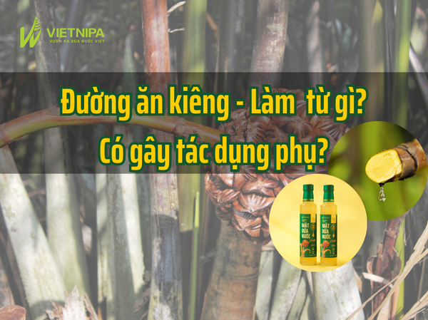 Đường Ăn Kiêng Làm Từ Gì? Có Gây Tác Dụng Phụ