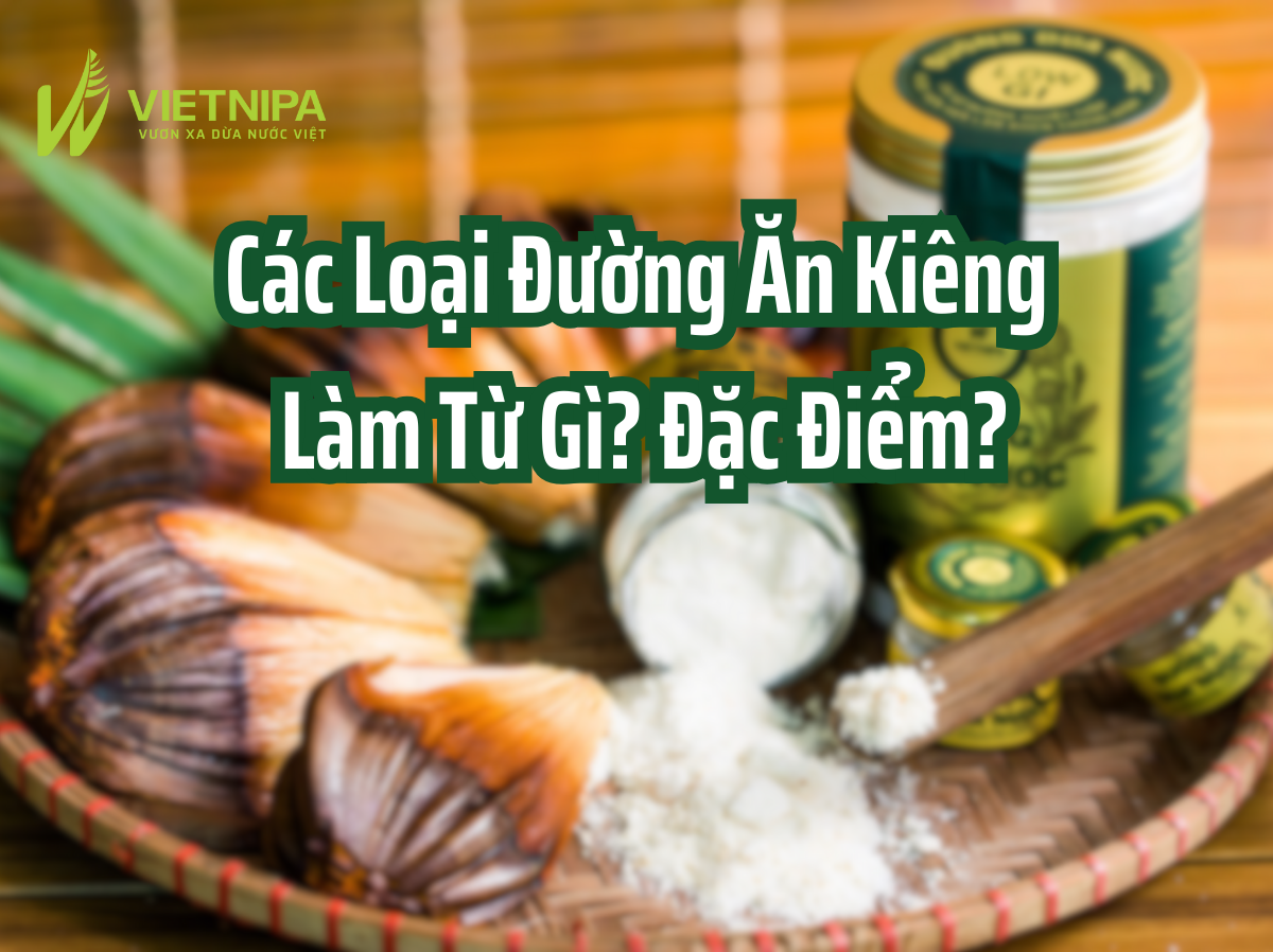 Các Loại Đường Ăn Kiêng Làm Từ Gì? Đặc Điểm