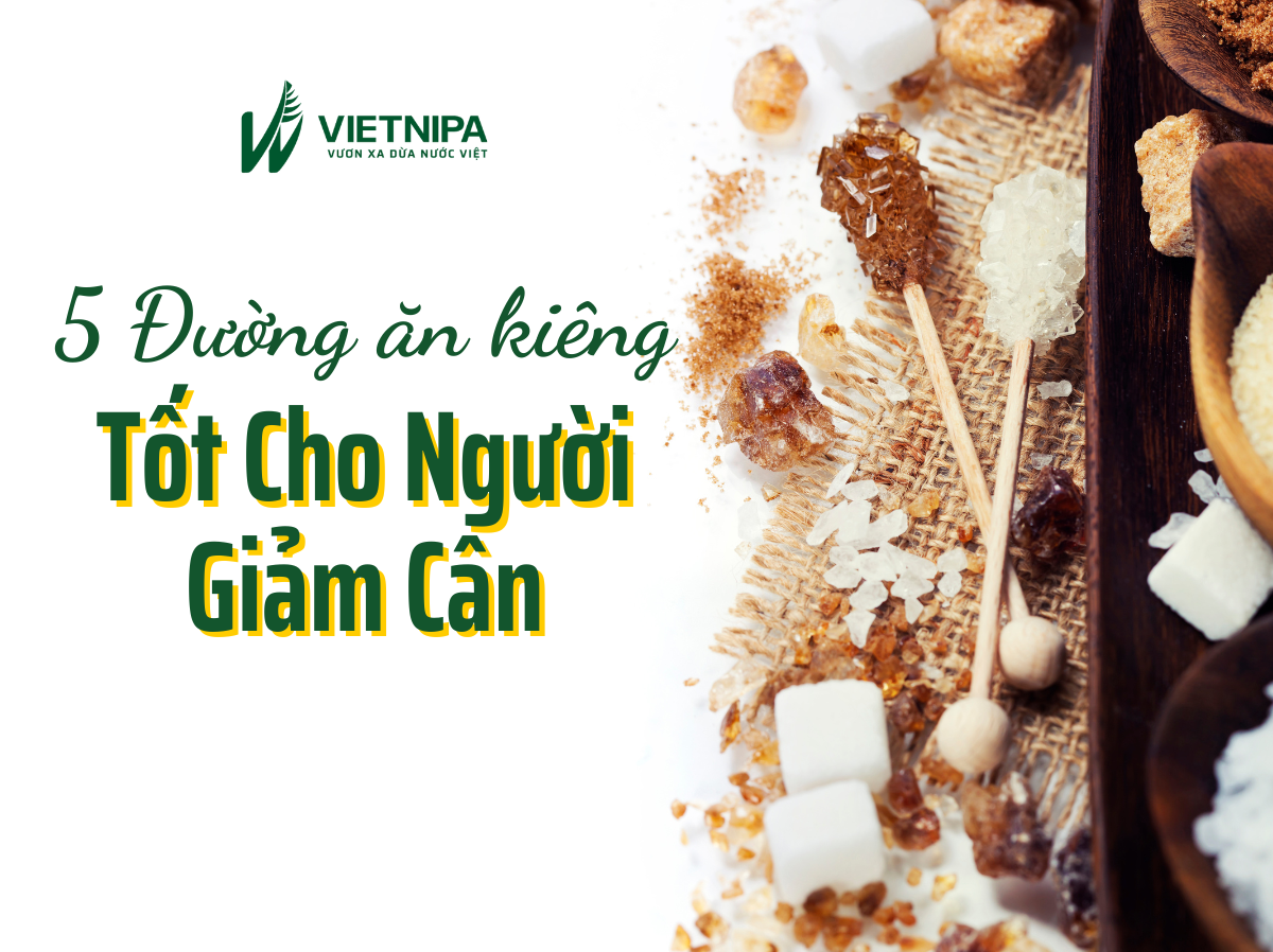 Cập Nhật 5 Đường Ăn Kiêng Tốt Cho Ai Đang Giảm Cân