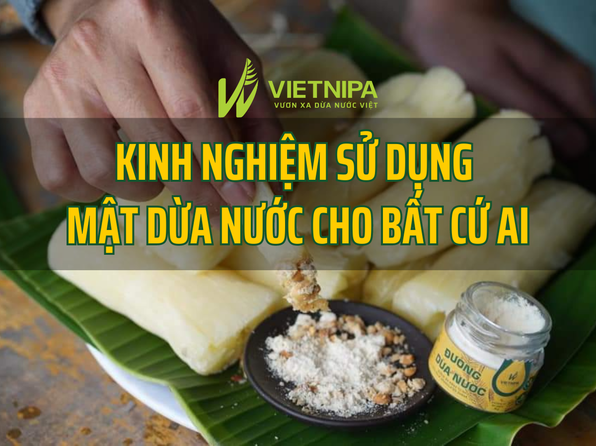 Kinh Nghiệm Sử Dụng Mật Dừa Nước Cho Bất Cứ Ai