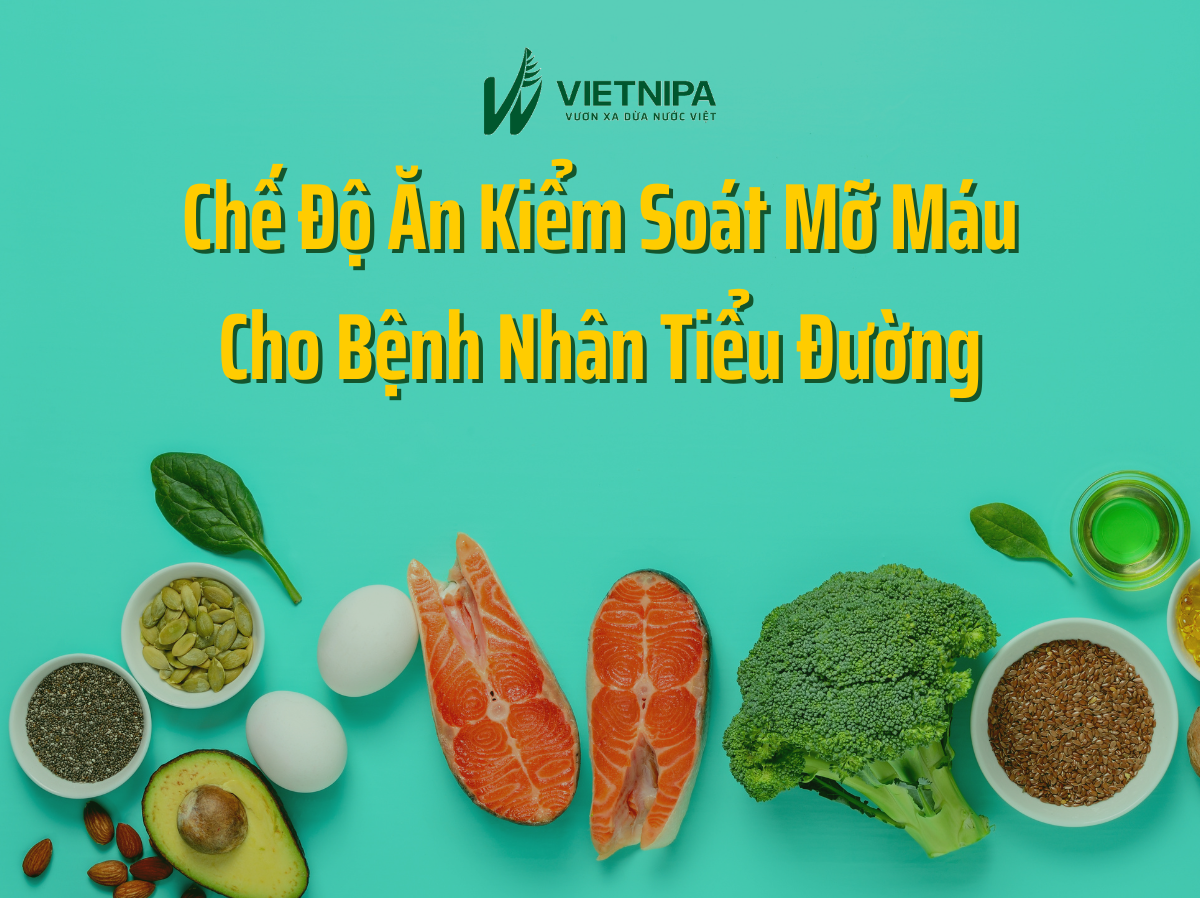 Chế Độ Ăn Kiểm Soát Mỡ Máu Cho Bệnh Nhân Tiểu Đường