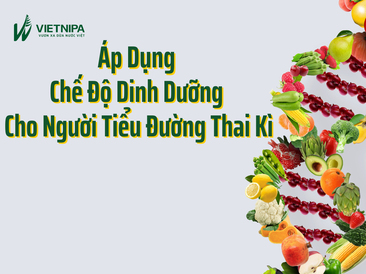 Áp Dụng Chế Độ Dinh Dưỡng Cho Người Tiểu Đường Thai Kỳ