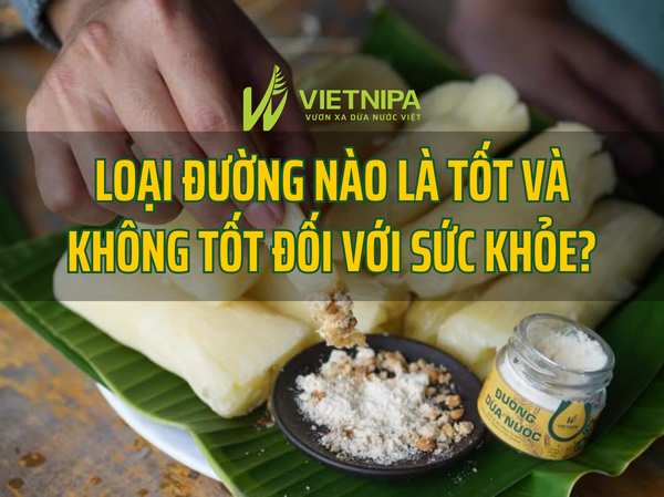 Loại Đường Nào Là Tốt Và Không Tốt Đối Với Sức Khỏe