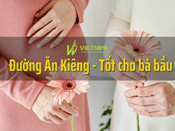 Đường Ăn Kiêng Nào Tốt Cho Bà Bầu? Giá Bao Nhiêu