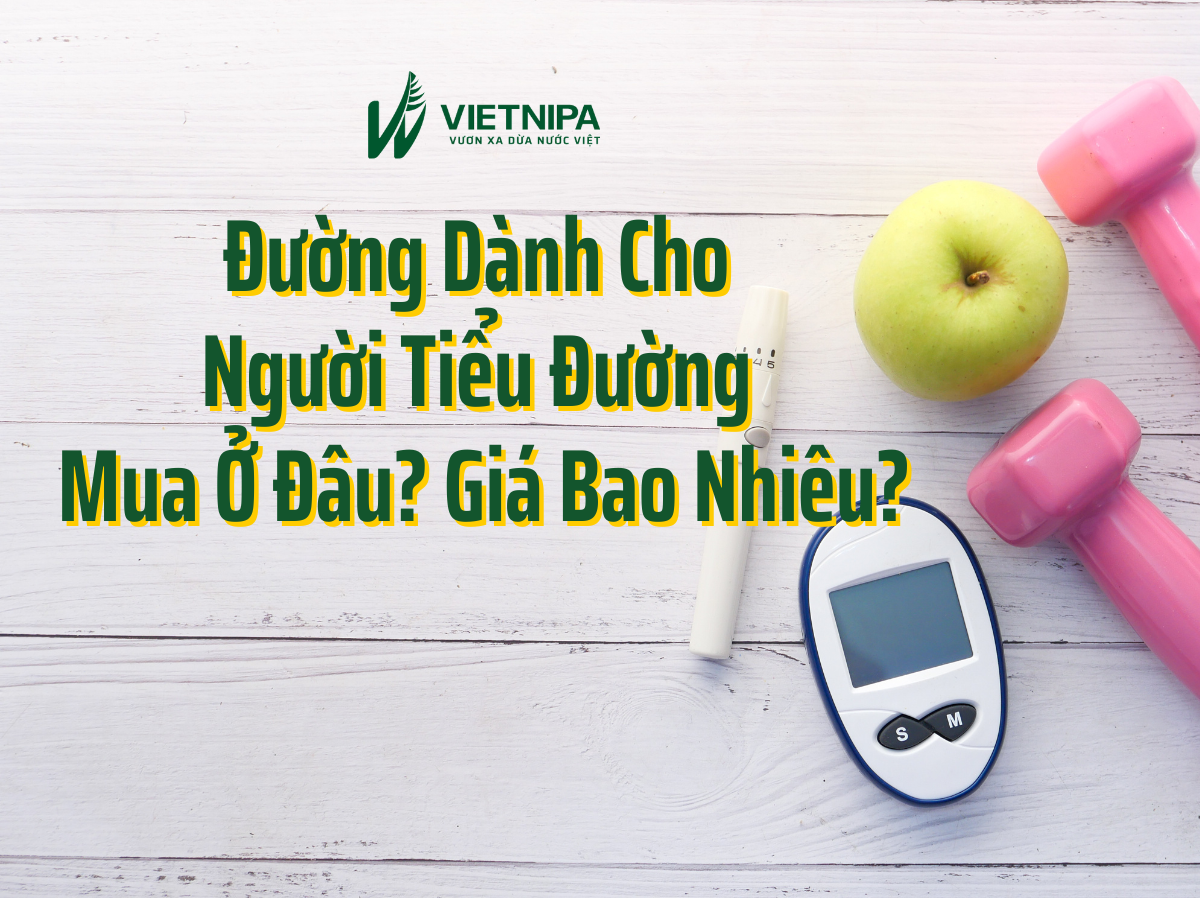 Đường Dành Cho Người Tiểu Đường Giá Bao Nhiêu? Mua Ở Đâu?