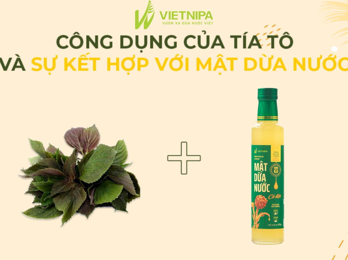 Công Dụng Của Tía Tô Và Sự Kết Hợp Với Mật Dừa Nước