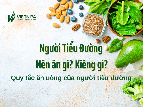 Người Tiểu Đường Nên Ăn Gì? Kiêng Gì? Quy Tắc Trong Ăn Uống Của Người Tiểu Đường