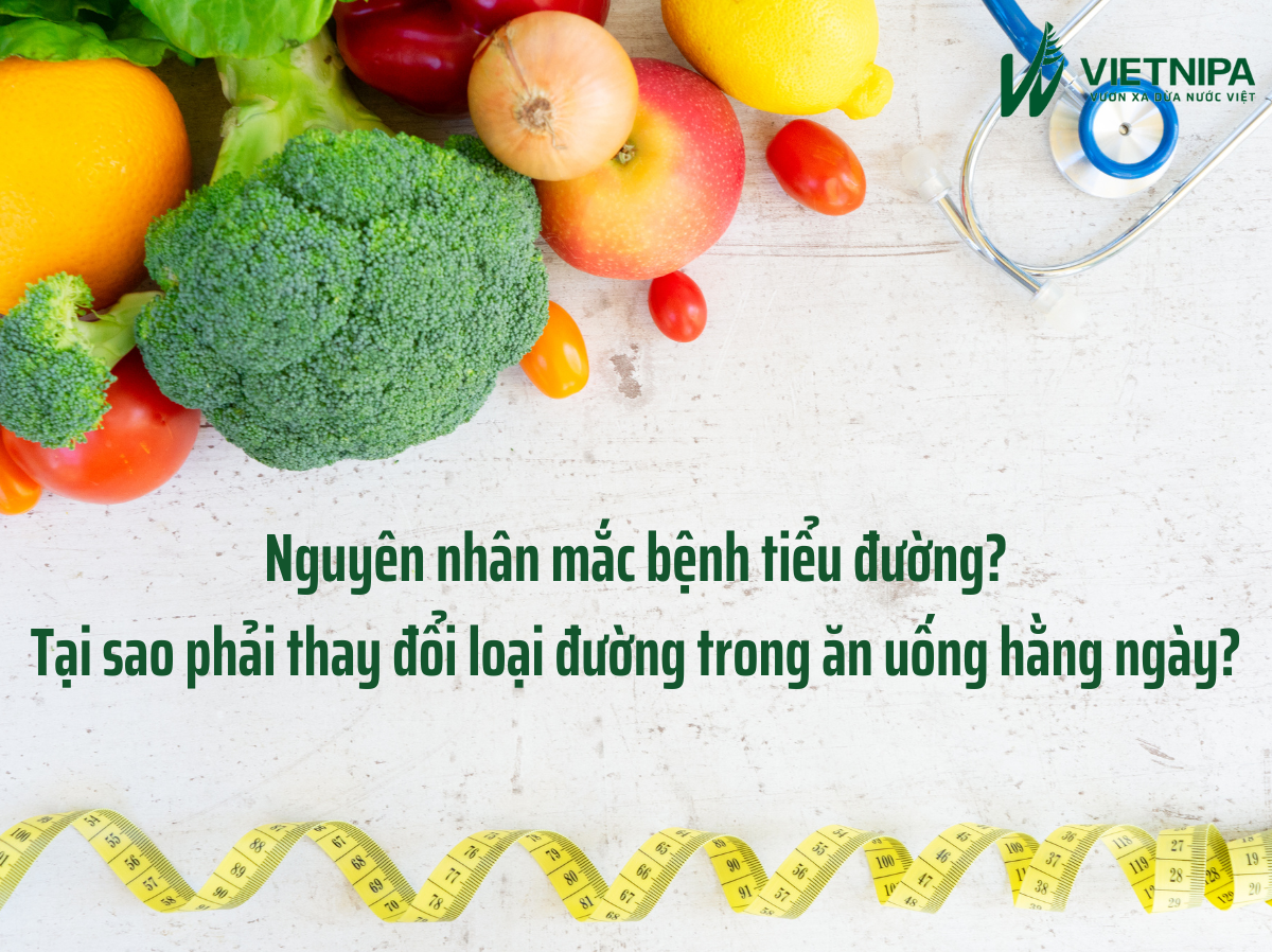 Nguyên Nhân Mắc Bệnh Tiểu Đường? Tại Sao Nên Thay Đổi Loại Đường Trong Ăn Uống Hằng Ngày