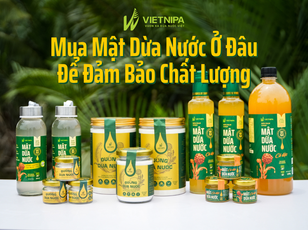 Mua Mật Dừa Nước Ở Đâu Để Đảm Bảo Chất Lượng