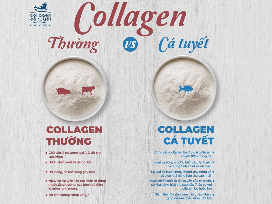 Collagen chiết xuất từ cá có gì khác biệt so với collagen từ lợn, bò, gà,... Đánh giá ưu nhược điểm của từng loại