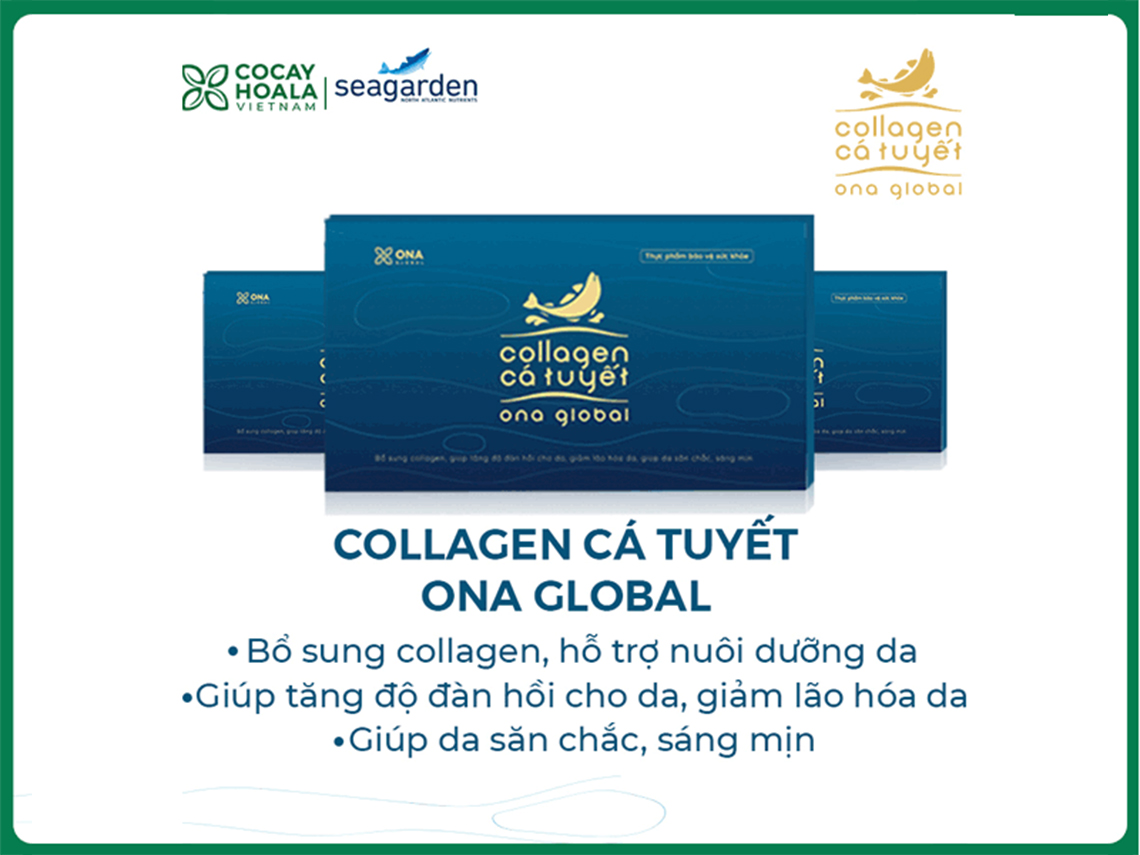 Các tiêu chí lựa chọn collagen trắng da. Collagen cá tuyết Nauy có tốt không?