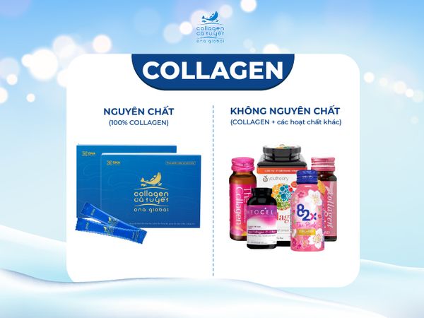 collagen nguyên chất - khái niệm