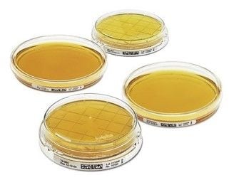 Giám sát vi sinh phòng sạch trong sản xuất