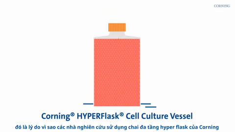 Lý do các nhà nghiên cứu sử dụng chai đa tầng HyperFlask của Corning!!