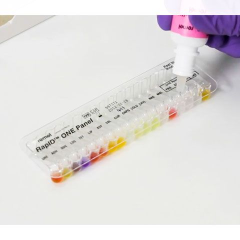 Sản phẩm định danh thủ công vi sinh RapID từ hãng Remel