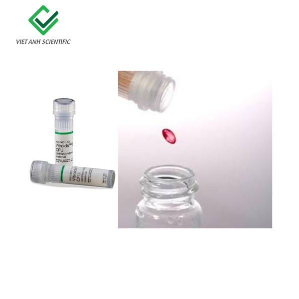 Chủng chuẩn vi sinh