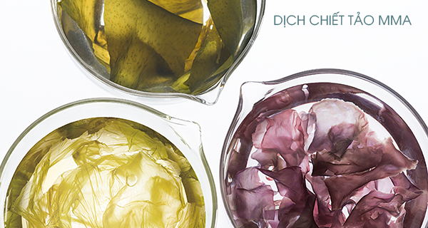 Thalgo - Soucre Marine