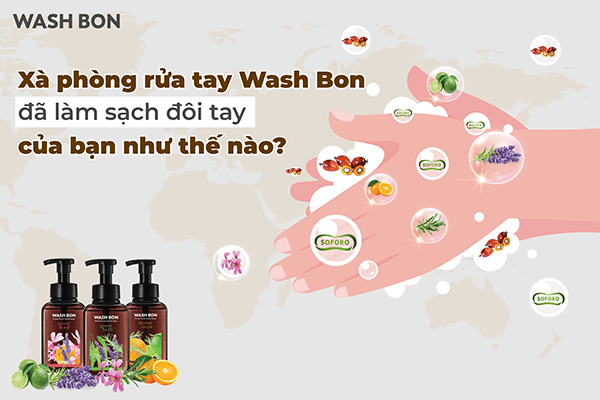 Xà phòng rửa tay thảo mộc Wash Bon đã làm sạch đôi tay của bạn như thế nào?