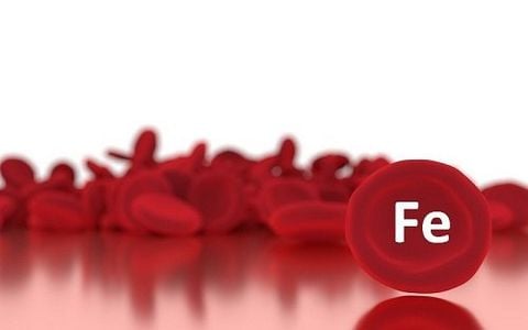 Sắt Là Gì? Vai Trò Quan Trọng Của Sắt Đối Với Cơ Thể