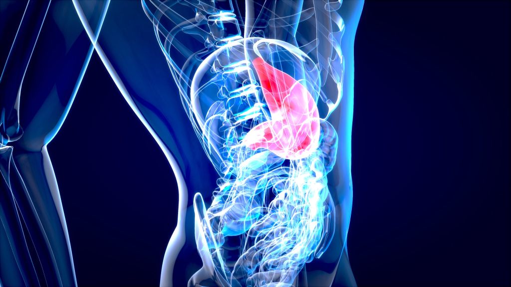 Chế Độ Ăn Lành Mạnh Cho Gan: Bí Quyết Bảo Vệ Sức Khỏe