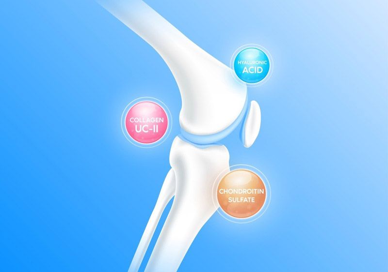 Glucosamin Khác Gì Với Collagen Type II, Chondroitin? – Hiểu Đúng Để Chăm Sóc Xương Khớp Hiệu Quả