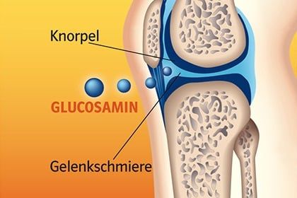 Glucosamin Là Gì? Vai Trò Của Glucosamin Trong Sụn Khớp Và Dịch Khớp