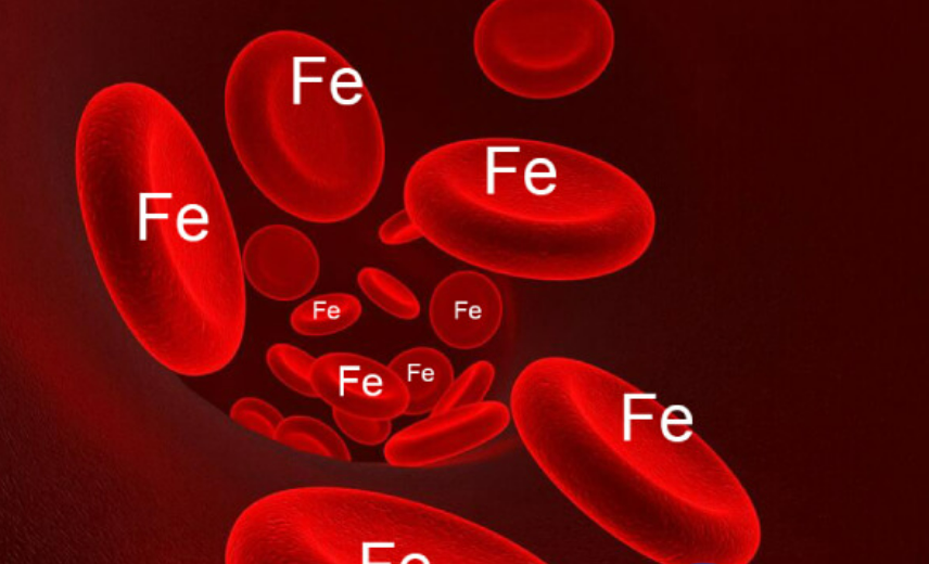 Bảng Khuyến Nghị Nhu Cầu Sắt Theo Từng Độ Tuổi Và Giới Tính