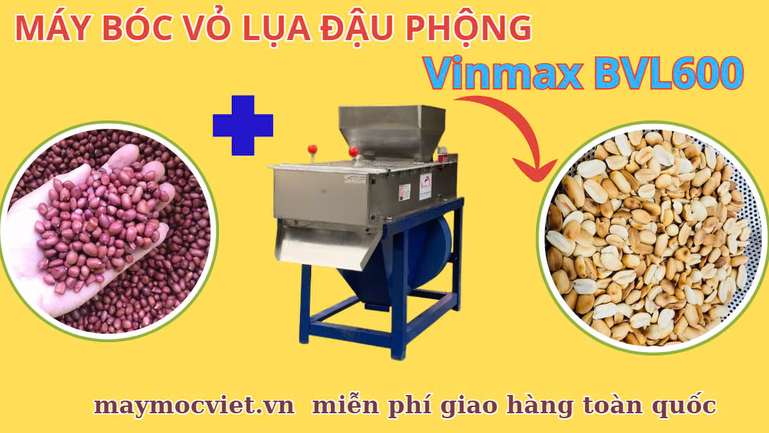 Bí Quyết Bóc Vỏ Lạc Nhanh, Hiệu Quả Bằng Máy Bóc Vỏ Lụa BLV600