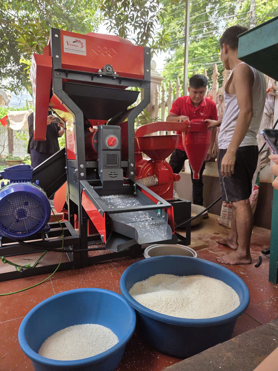 Gạo tươi là gì? Có nên mua máy xát gạo để xát gạo tươi không?