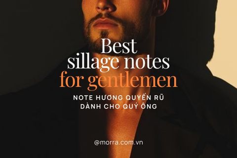 Best sillage notes for gentlemen