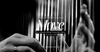 Scents and Sound (phần 3) | MOVE