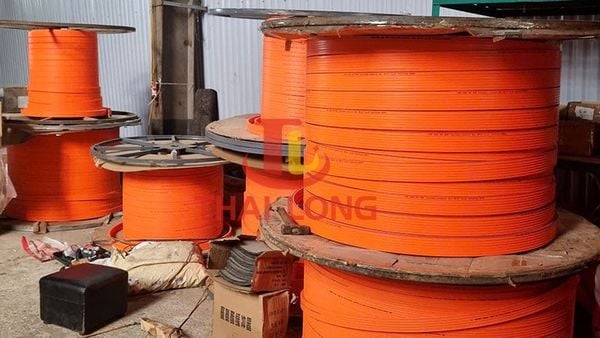 ray điện cầu trục 3P