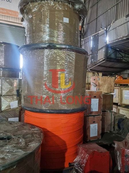 ray điện cầu trục