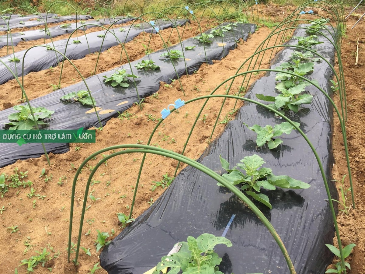 Khung vòm trồng rau