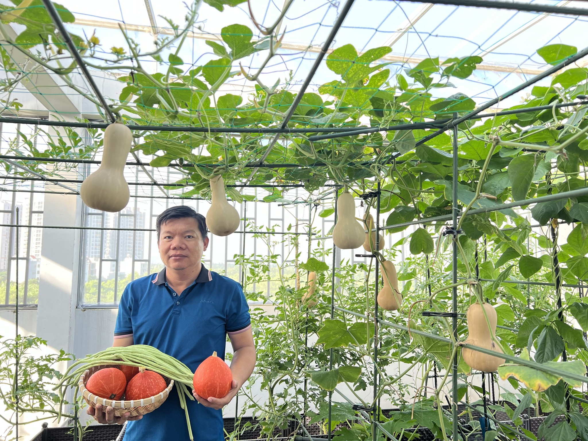 Phân hữu cơ