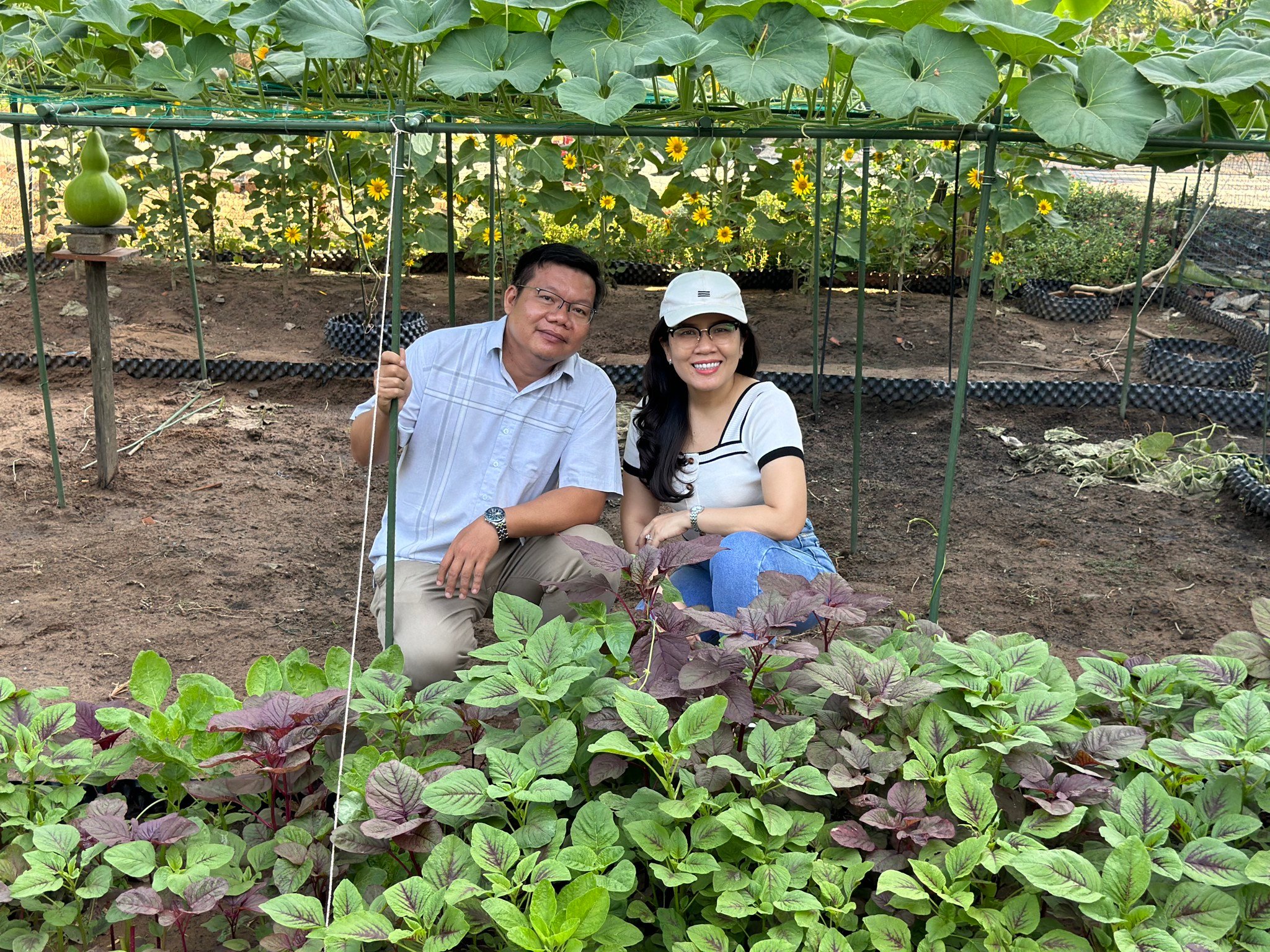 Hạt giống Phú Nông
