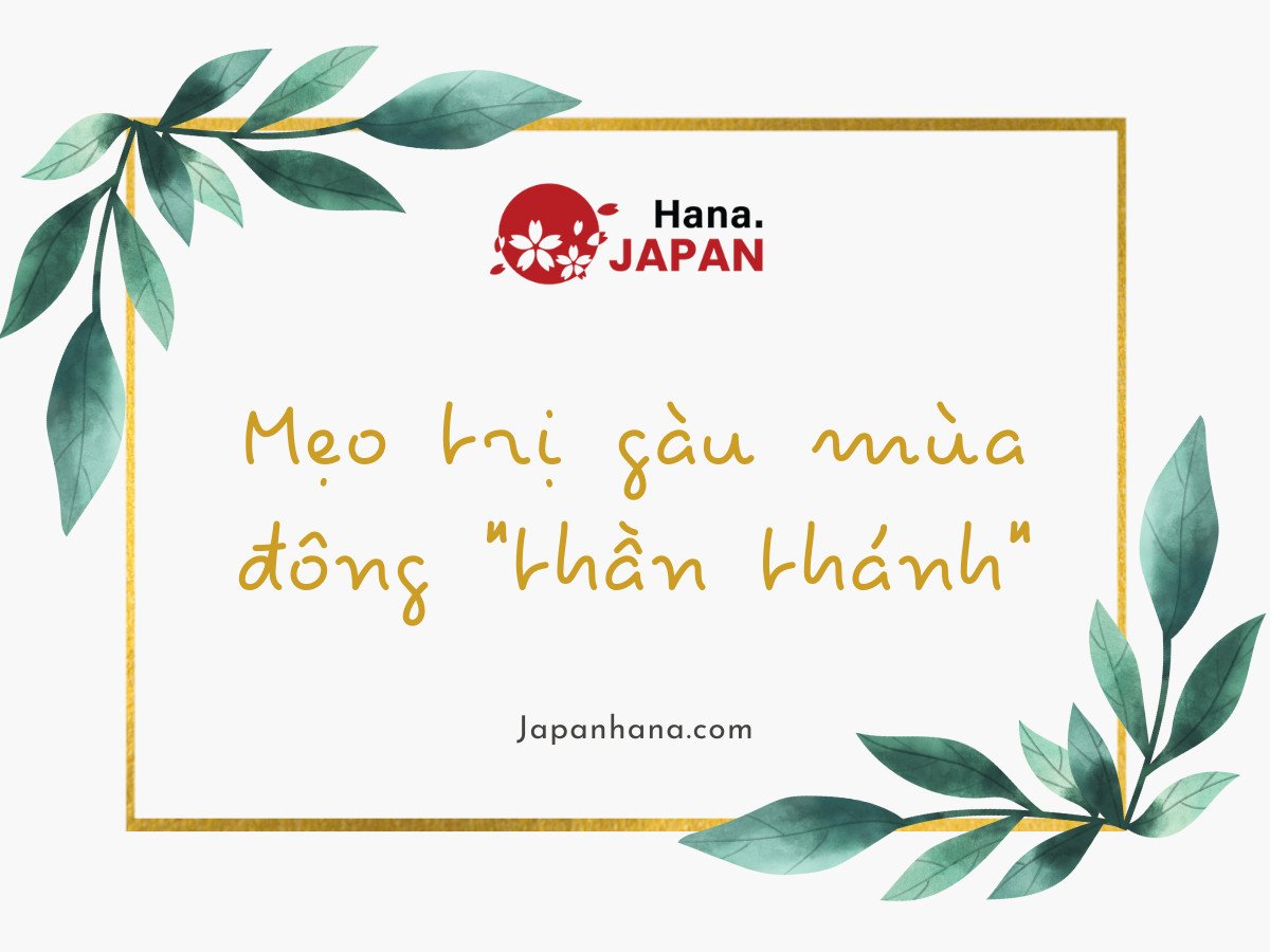 Những mẹo trị gàu mùa đông 