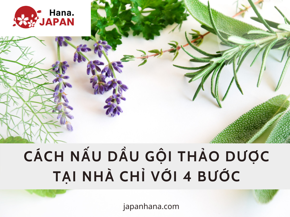 Cách nấu dầu gội thảo dược đơn giản tại nhà chỉ với 4 bước