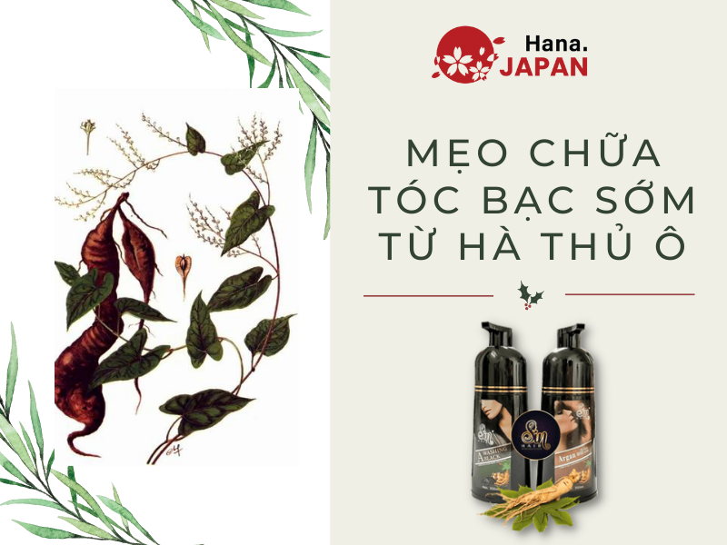 Dầu gội, tóc bạc, dầu gội đen tóc, dầu gội phủ bạc: Nếu bạn đang tìm kiếm một giải pháp chăm sóc tóc toàn diện, bao gồm các loại dầu gội đặc biệt cho tóc bạc hoặc tóc đen, hãy xem những hình ảnh liên quan để tìm hiểu thêm về những loại dầu gội phổ biến hiện nay.