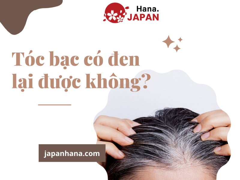 Tóc bạc có thể chuyển đen lại được không?