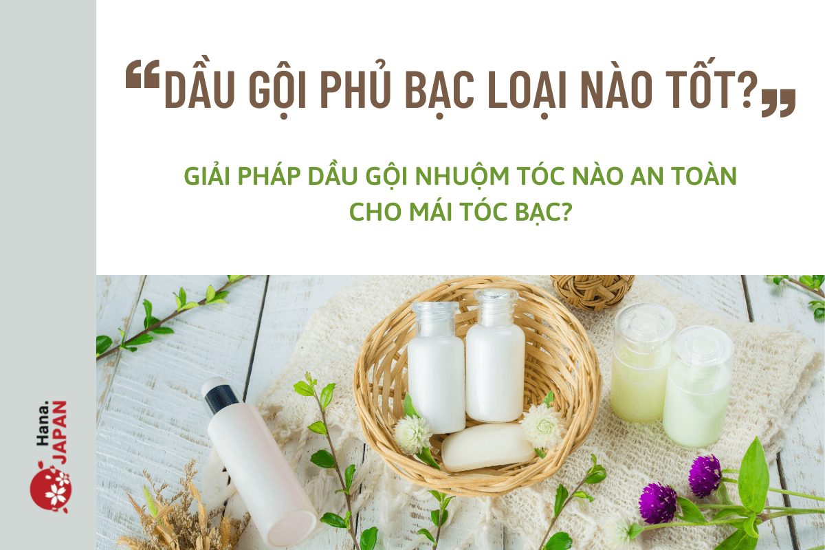 Dầu gội phủ bạc loại nào tốt? Giải pháp dầu gội nhuộm tóc nào an toàn cho mái tóc bạc?