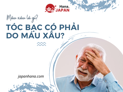 Tóc bạc sớm có phải do hiện tượng máu xấu? Cần điều trị ra sao?