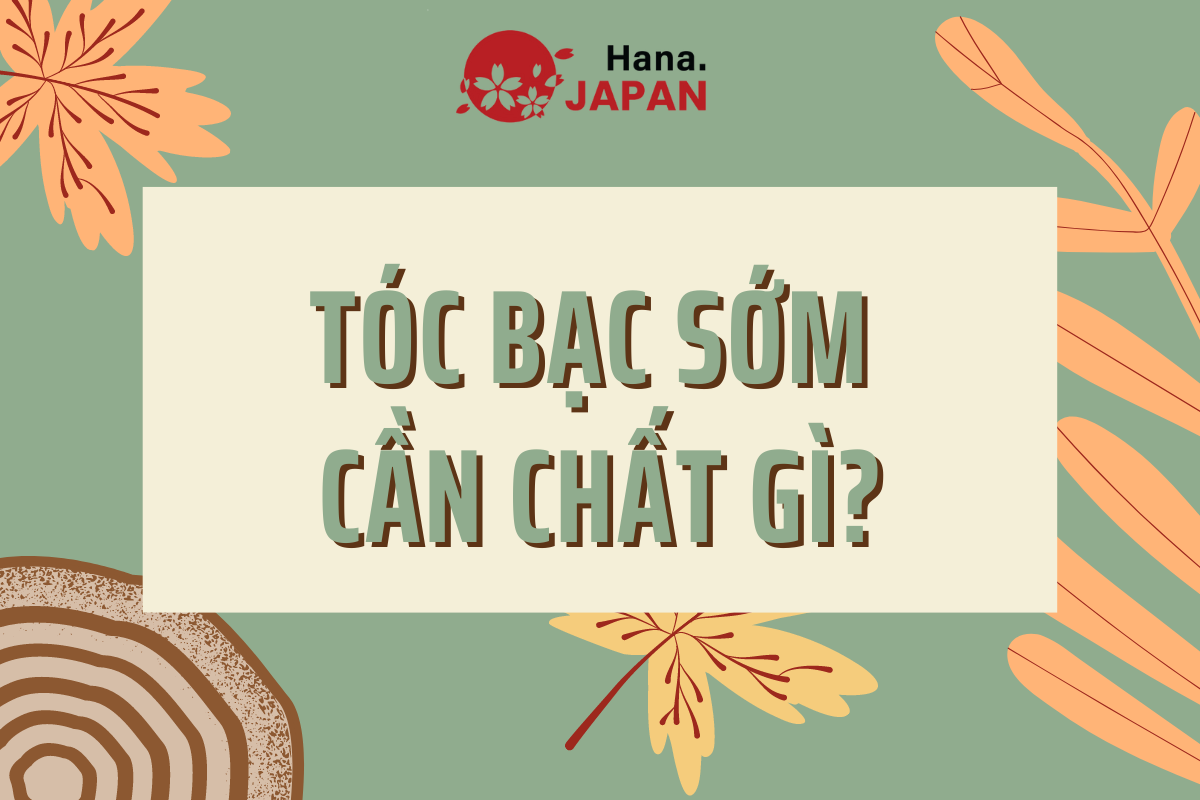 Tóc bạc sớm thiếu chất gì? Danh sách thực phẩm tốt cho người bị tóc bạc sớm