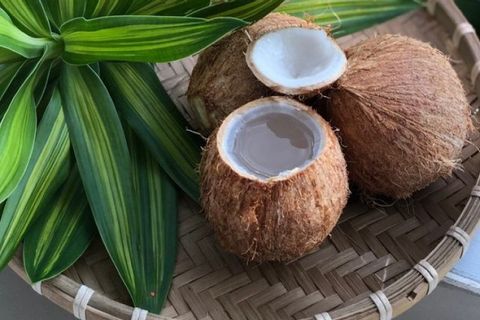 BÀ BẦU UỐNG NƯỚC DỪA: SỬ DỤNG SAO CHO ĐÚNG CÁCH?