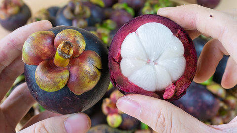 4 BÍ QUYẾT LỰA CHỌN MĂNG CỤT NGON